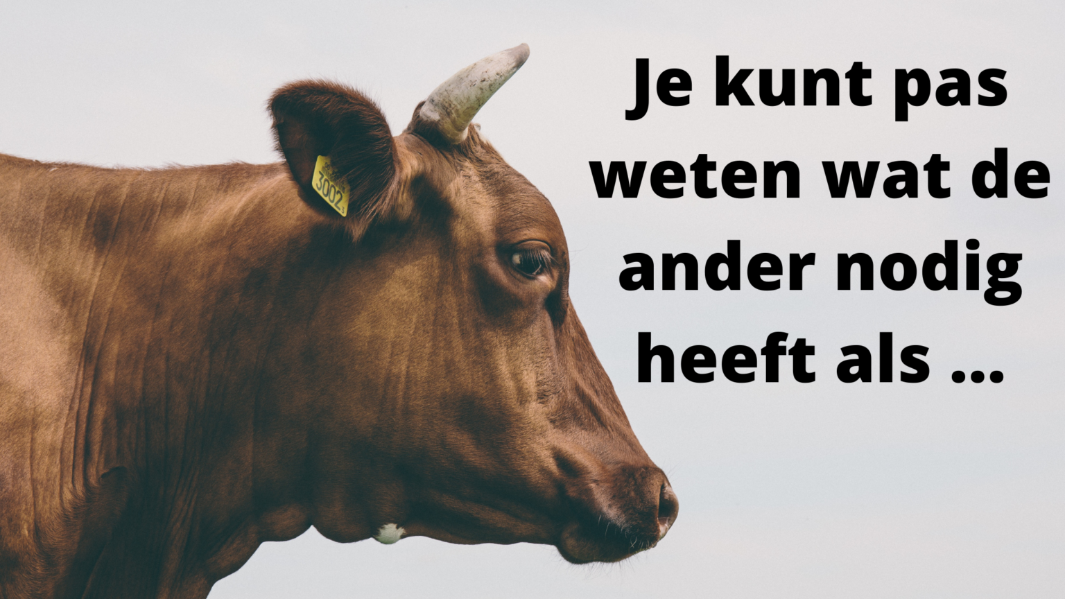 Je kunt pas weten wat de ander nodig heeft als … Presentie Vlaanderen Je kunt pas weten wat de ander nodig heeft als … Presentie Vlaanderen